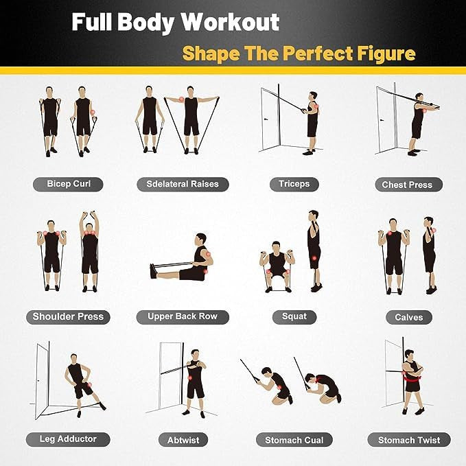 SP Dealz 11pcs Resistance Bands Set for Home Workout - Professional Exercise Bands for Strength Training, Muscle Building & Physical Therapy - Full Body Fitness Kit for Men & Women